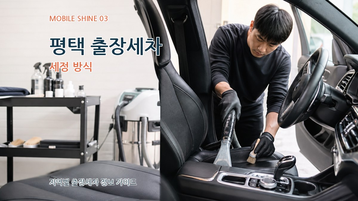평택 출장세차 세정 방식