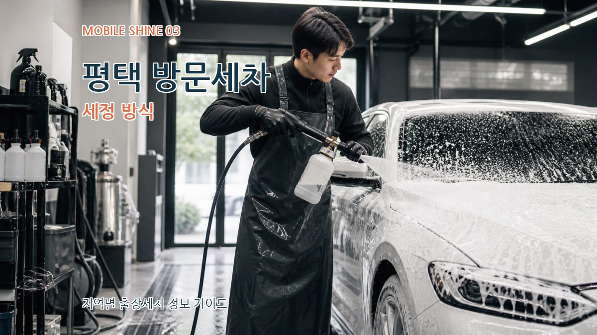 평택 방문세차 세정 방식
