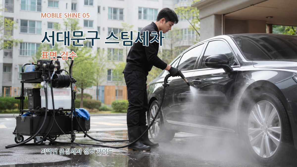 서대문구 스팀세차 표면 검수