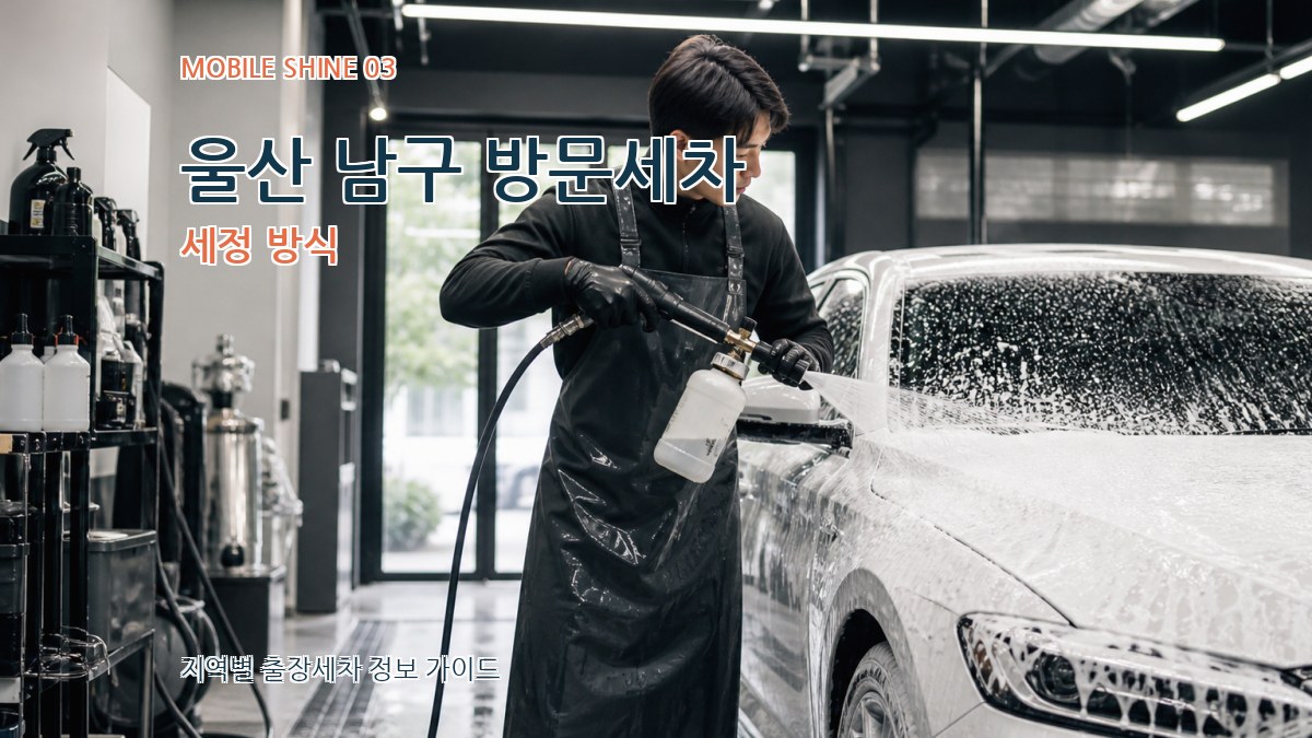 울산 남구 방문세차 세정 방식