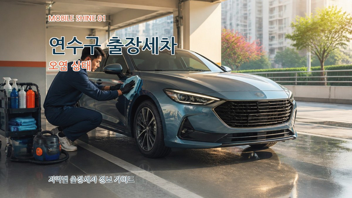 연수구 출장세차