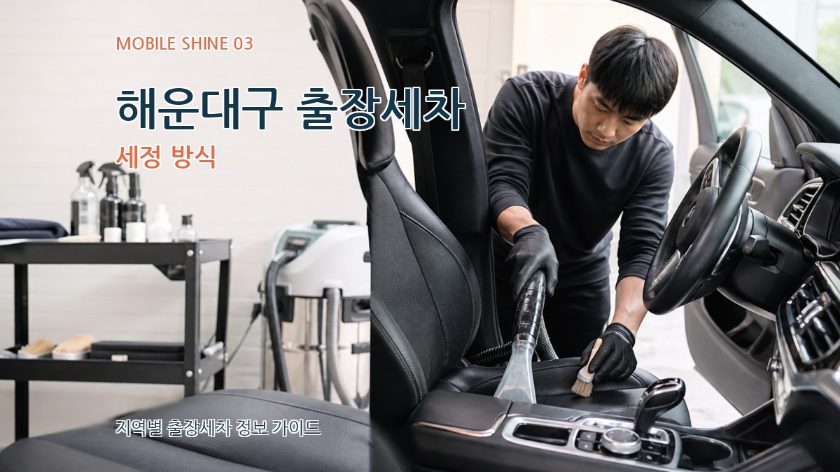 해운대구 출장세차 세정 방식