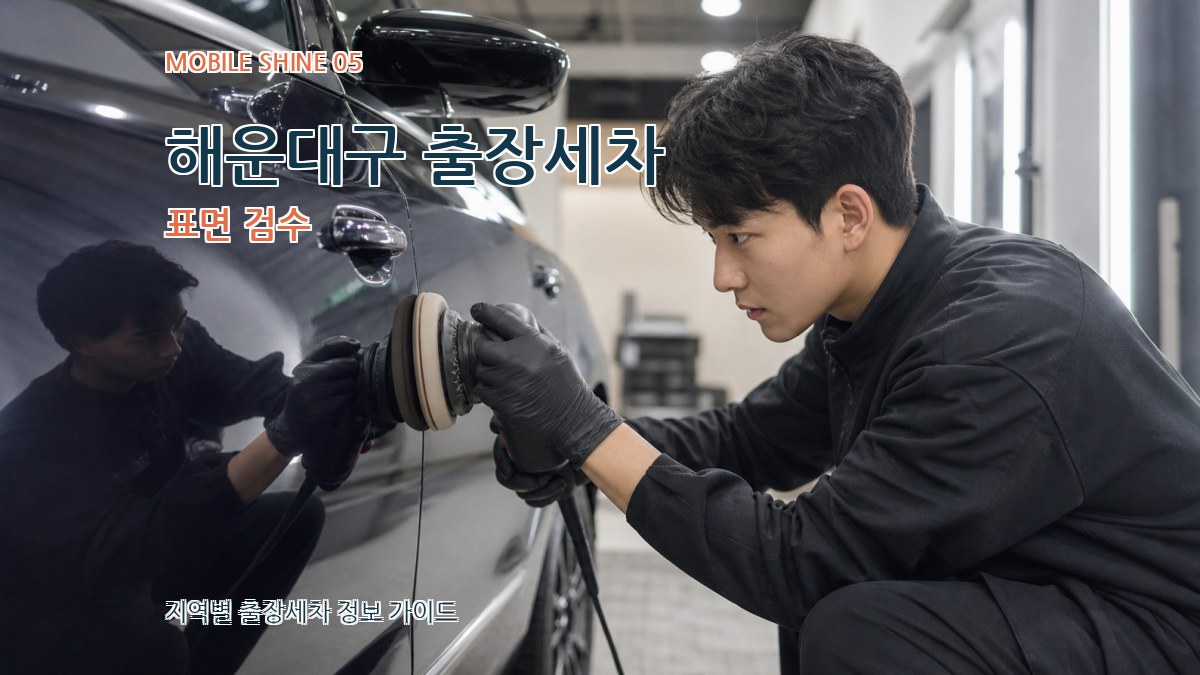 해운대구 출장세차 표면 검수