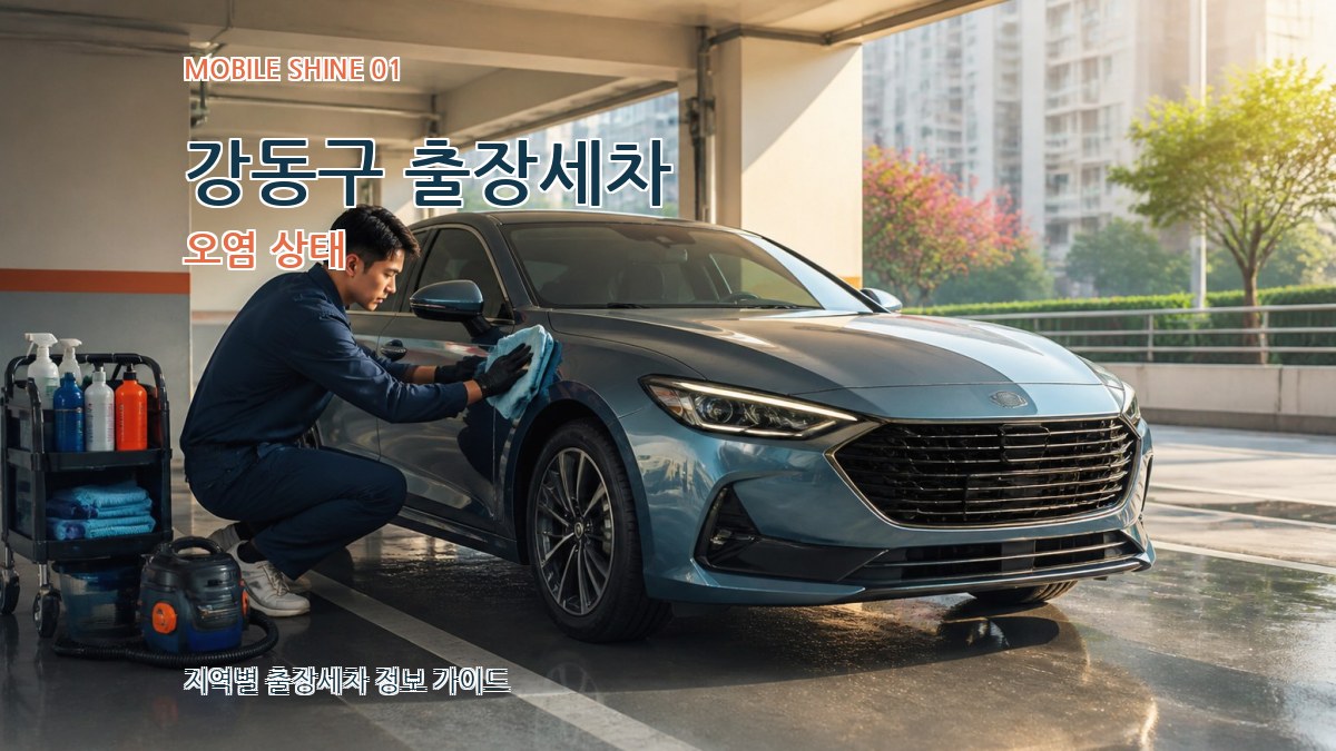 강동구 출장세차
