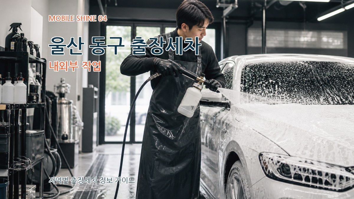 울산 동구 출장세차 내외부 작업