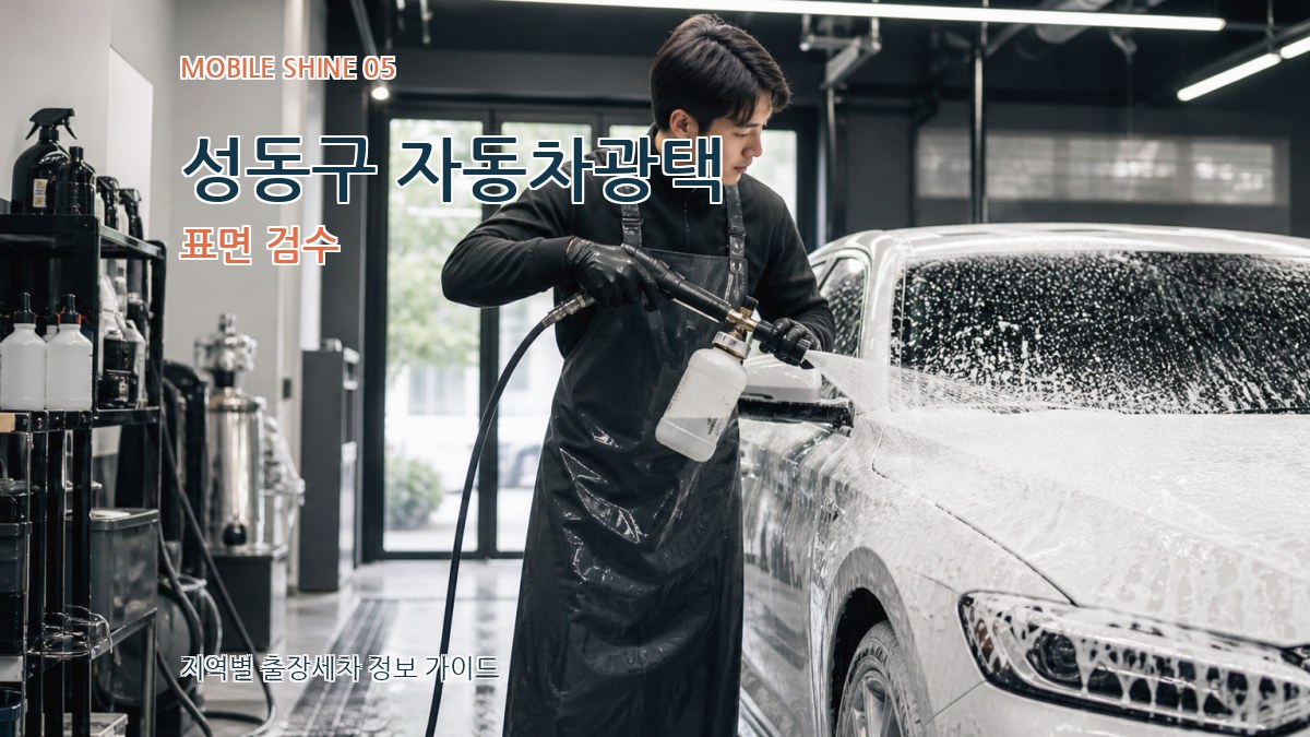 성동구 자동차광택 표면 검수