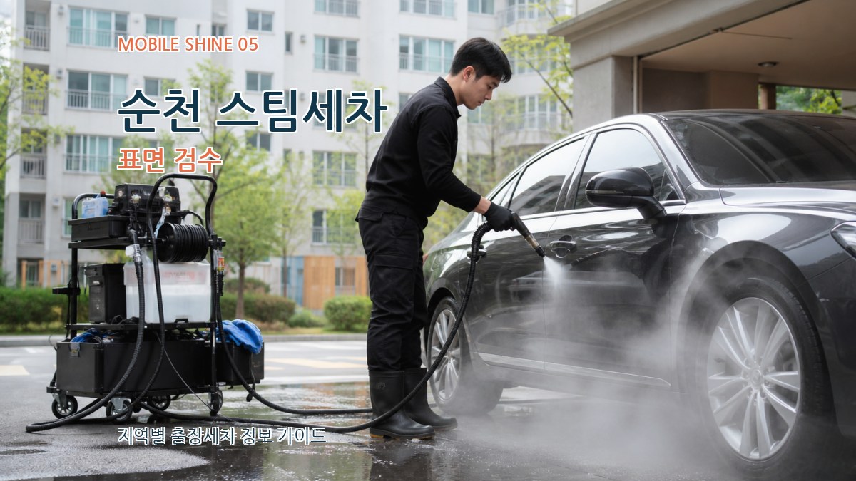 순천 스팀세차 표면 검수