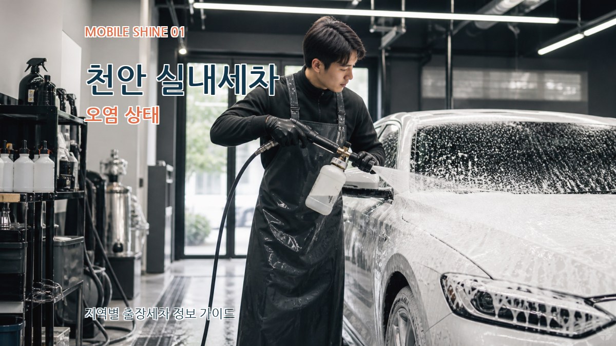 천안 실내세차