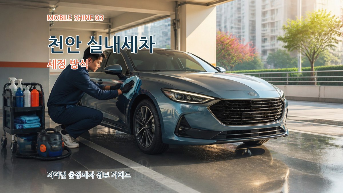 천안 실내세차 세정 방식