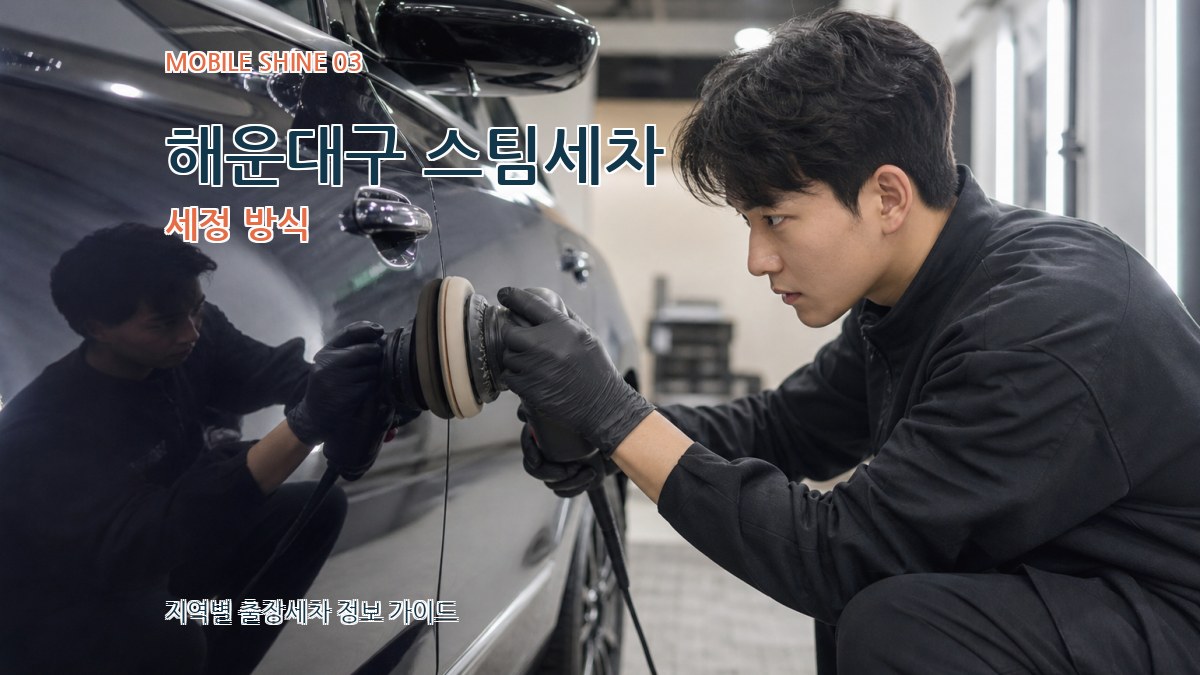 해운대구 스팀세차 세정 방식