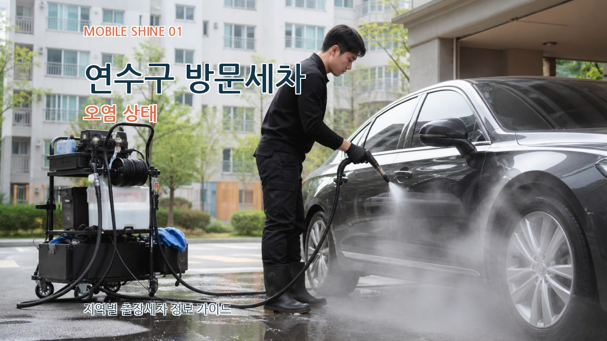 연수구 방문세차 오염 상태