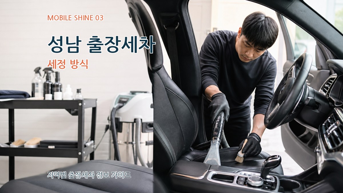 성남 출장세차 세정 방식