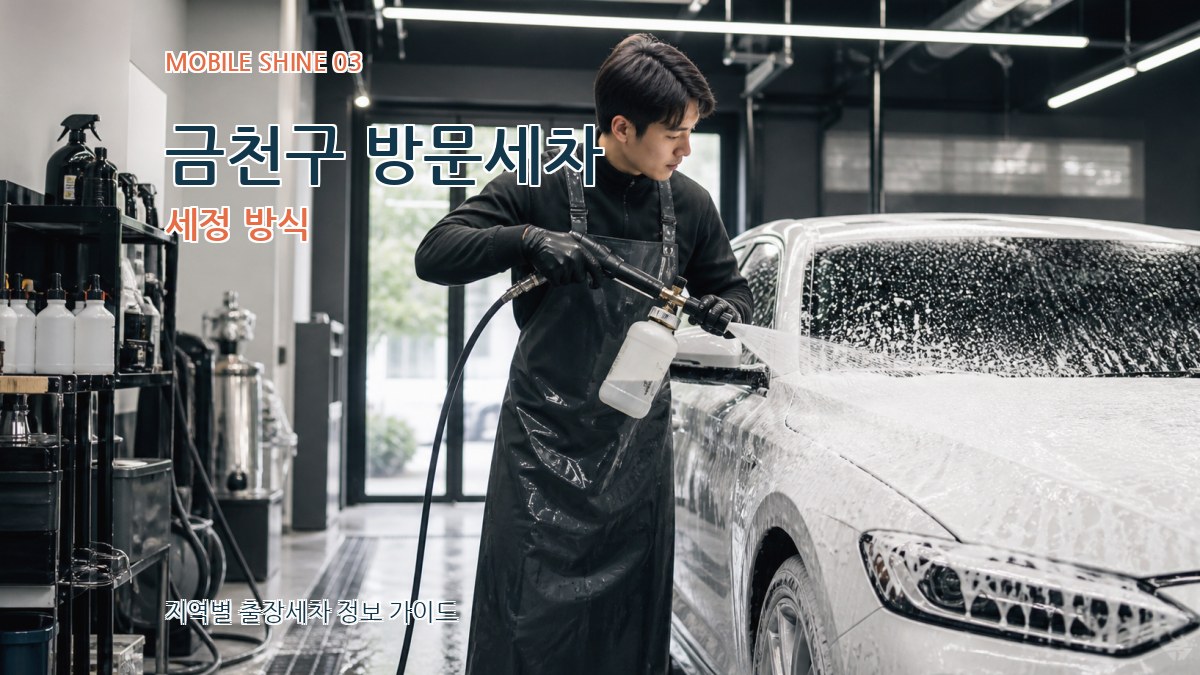 금천구 방문세차 세정 방식