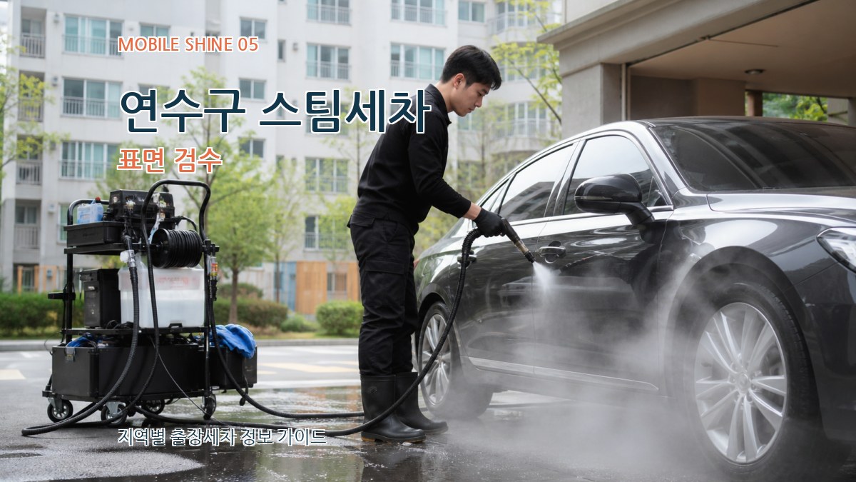 연수구 스팀세차 표면 검수