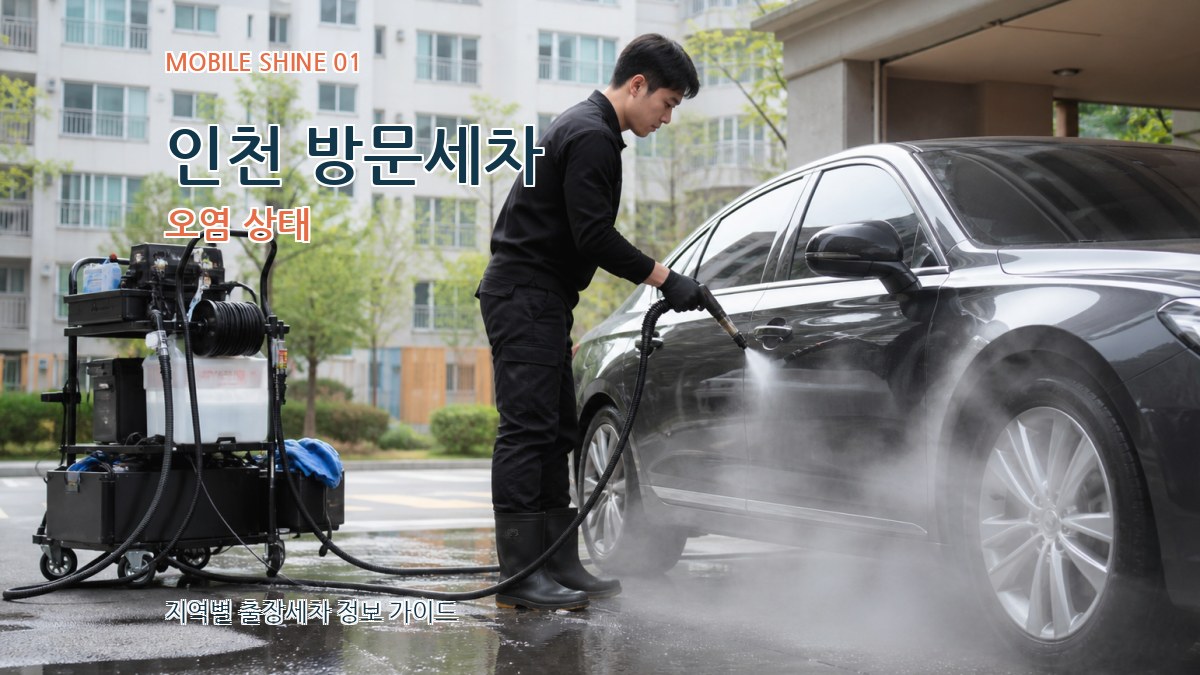 인천 방문세차 오염 상태