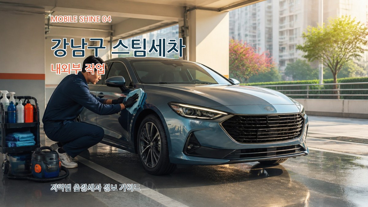 강남구 스팀세차 내외부 작업