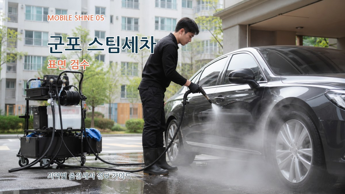 군포 스팀세차 표면 검수