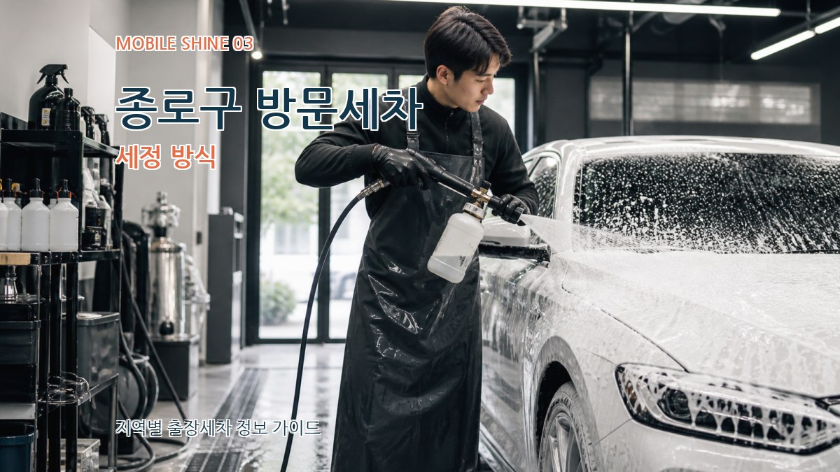 종로구 방문세차 세정 방식