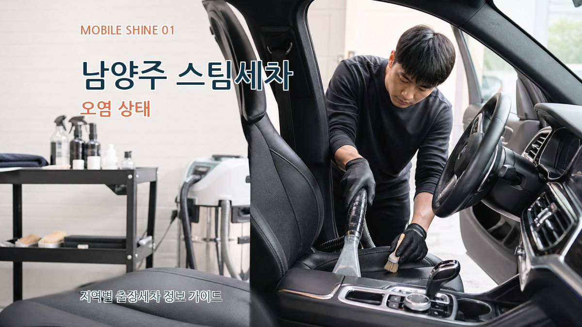 남양주 스팀세차