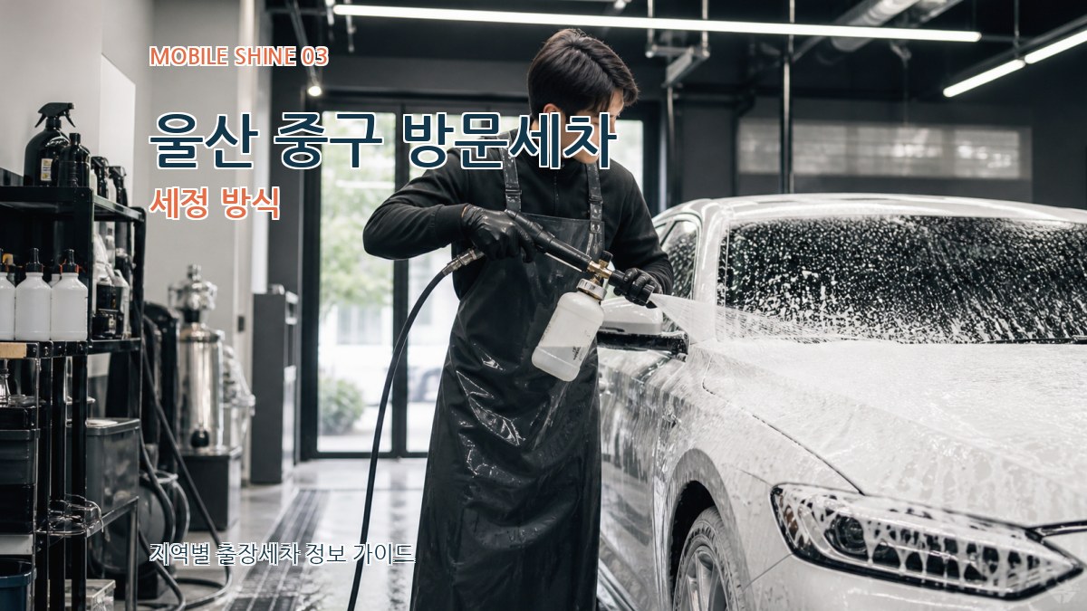 울산 중구 방문세차 세정 방식