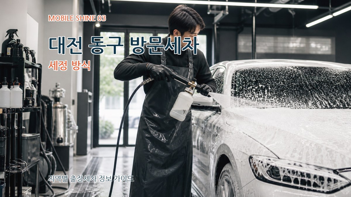 대전 동구 방문세차 세정 방식