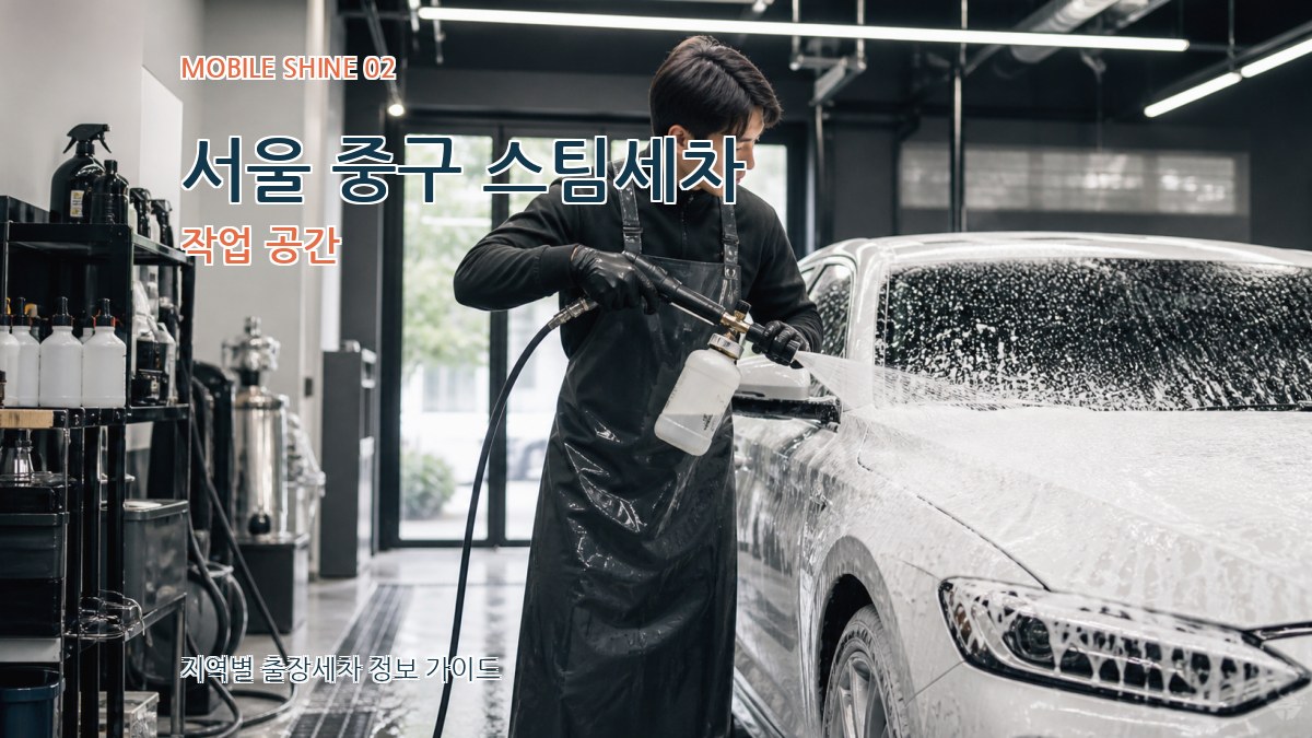서울 중구 스팀세차 작업 공간