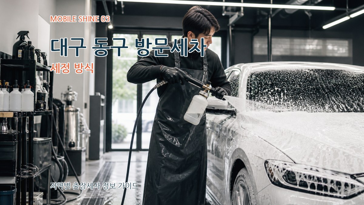 대구 동구 방문세차 세정 방식