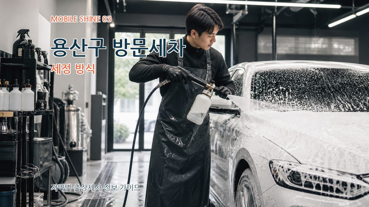 용산구 방문세차 세정 방식