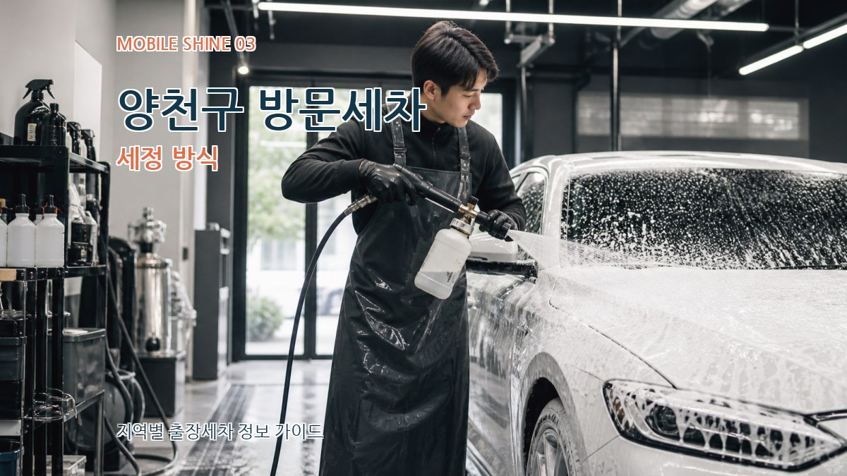 양천구 방문세차 세정 방식