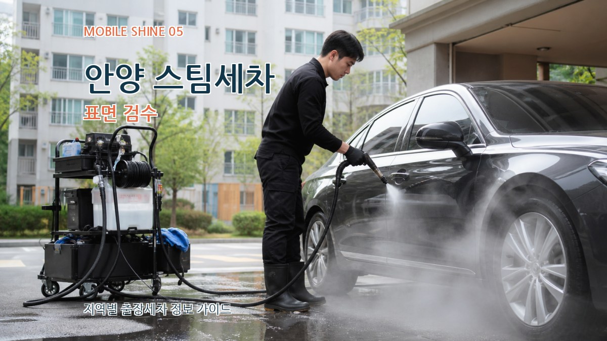 안양 스팀세차 표면 검수