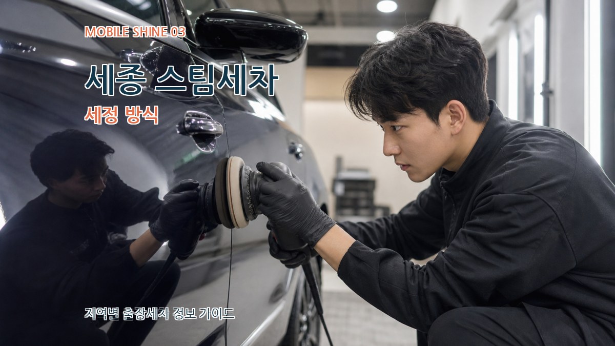 세종 스팀세차 세정 방식
