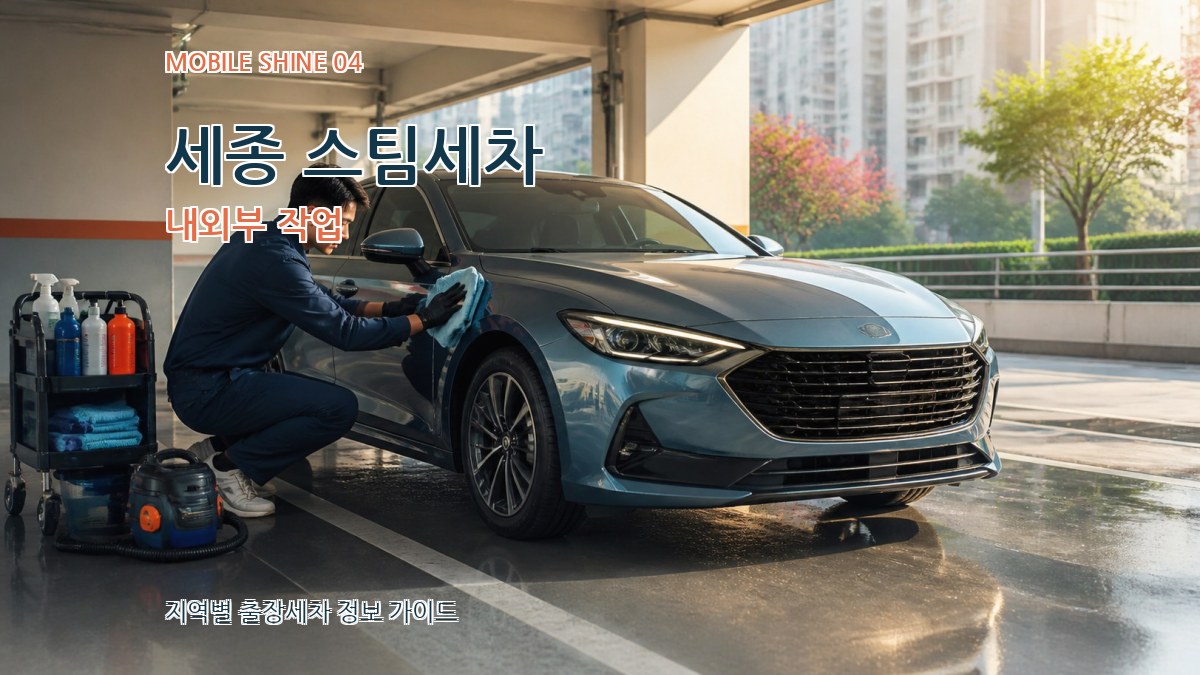 세종 스팀세차 내외부 작업