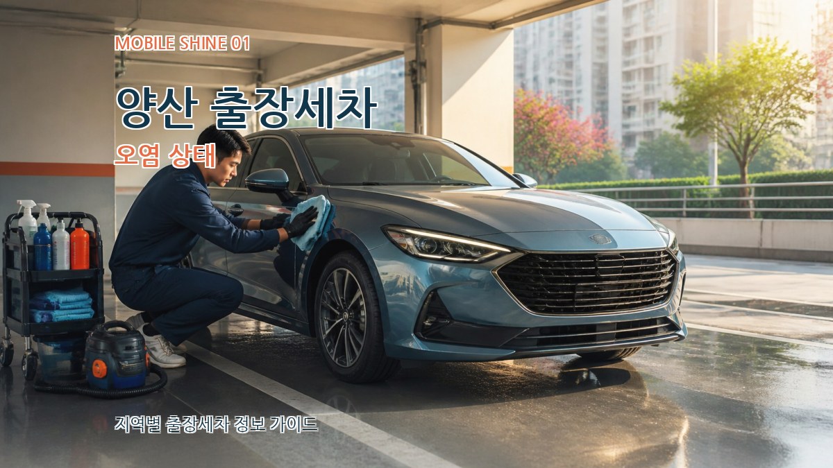 양산 출장세차