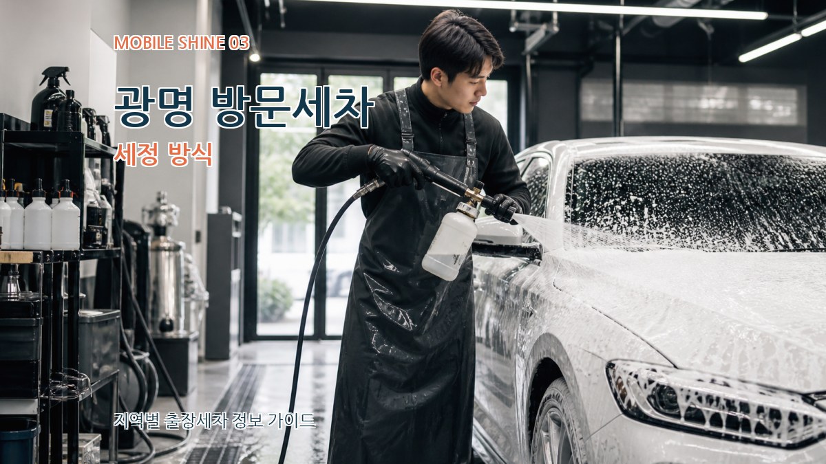 광명 방문세차 세정 방식