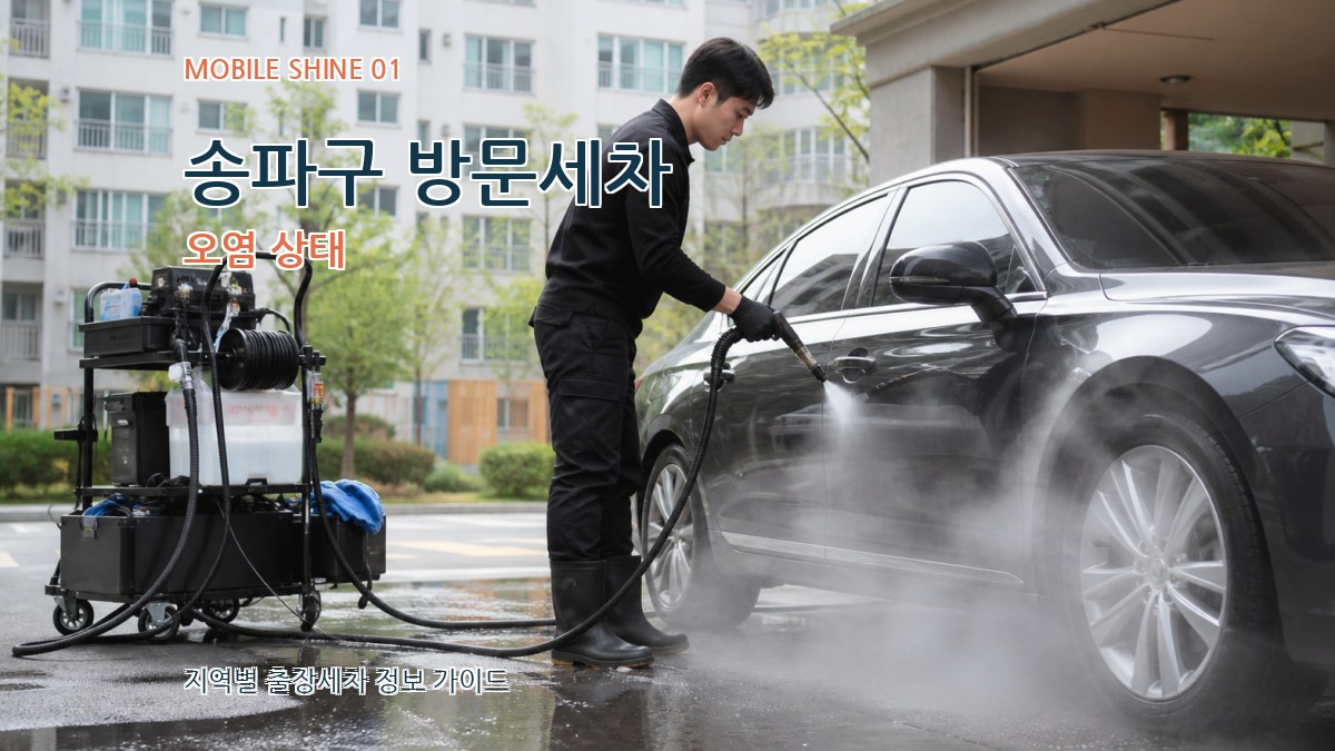 송파구 방문세차 오염 상태
