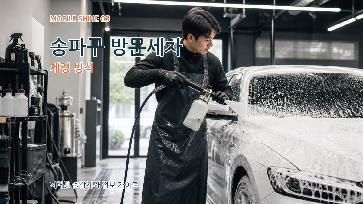 송파구 방문세차 세정 방식