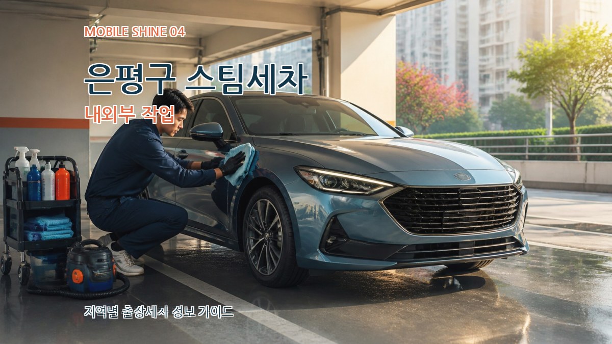 은평구 스팀세차 내외부 작업