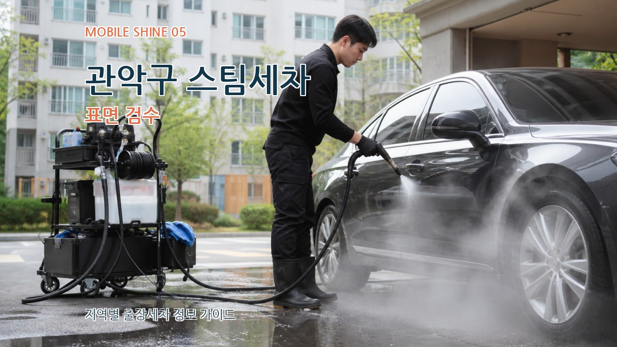 관악구 스팀세차 표면 검수
