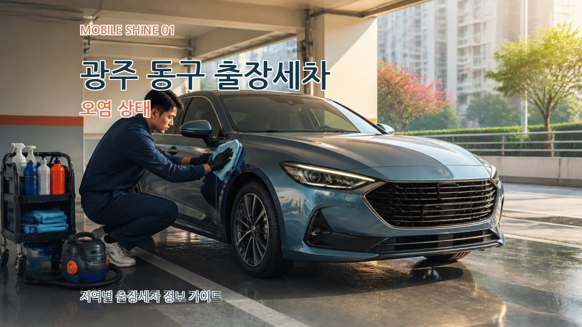 광주 동구 출장세차 오염 상태