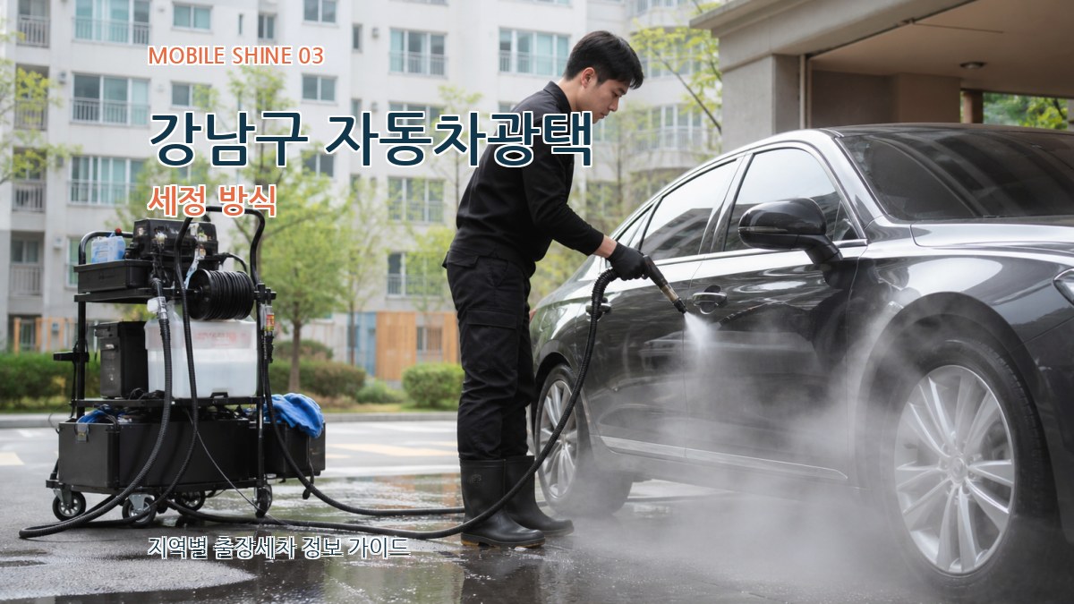 강남구 자동차광택 세정 방식