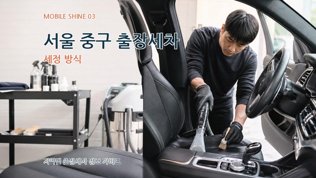 서울 중구 출장세차 세정 방식