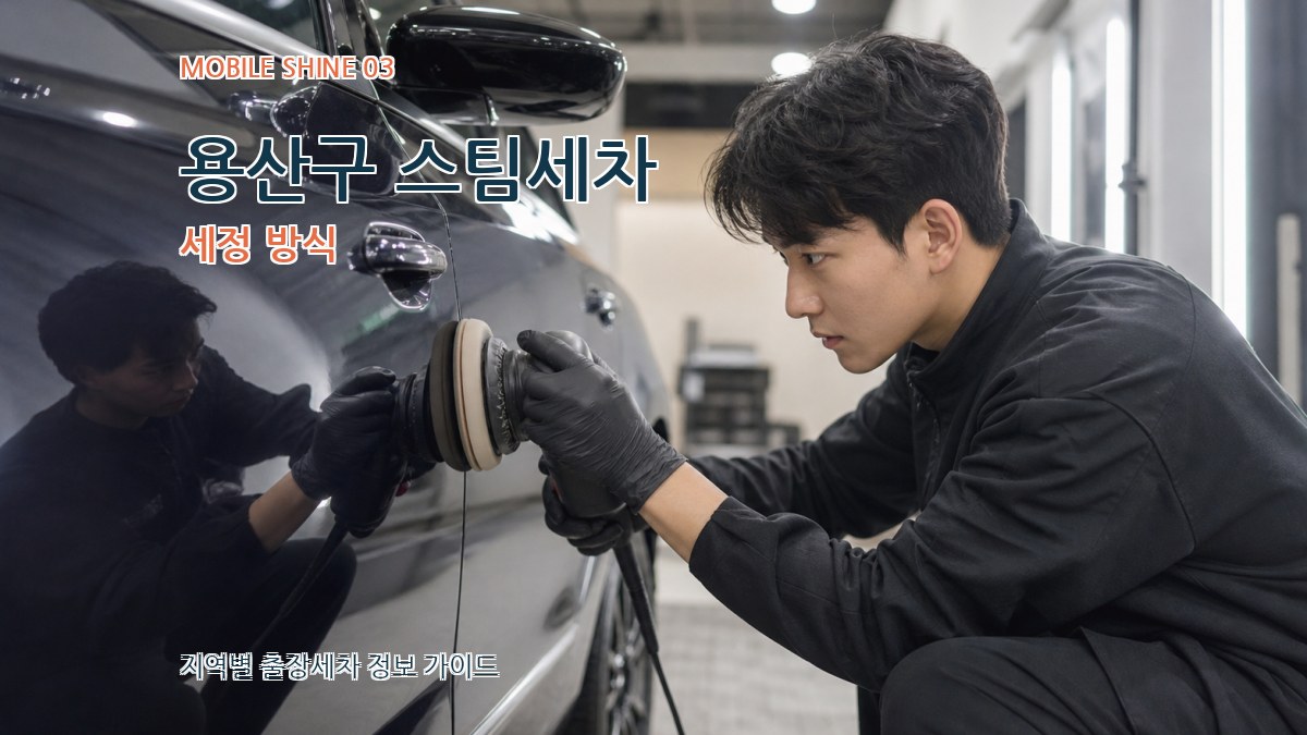 용산구 스팀세차 세정 방식