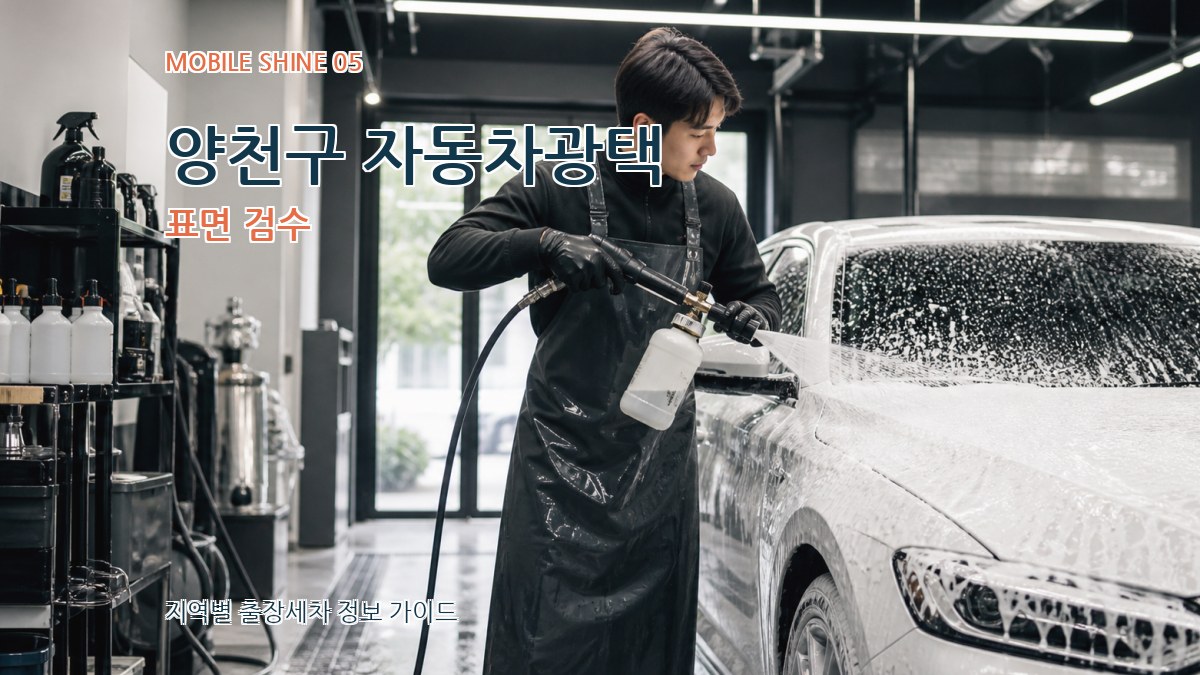 양천구 자동차광택 표면 검수