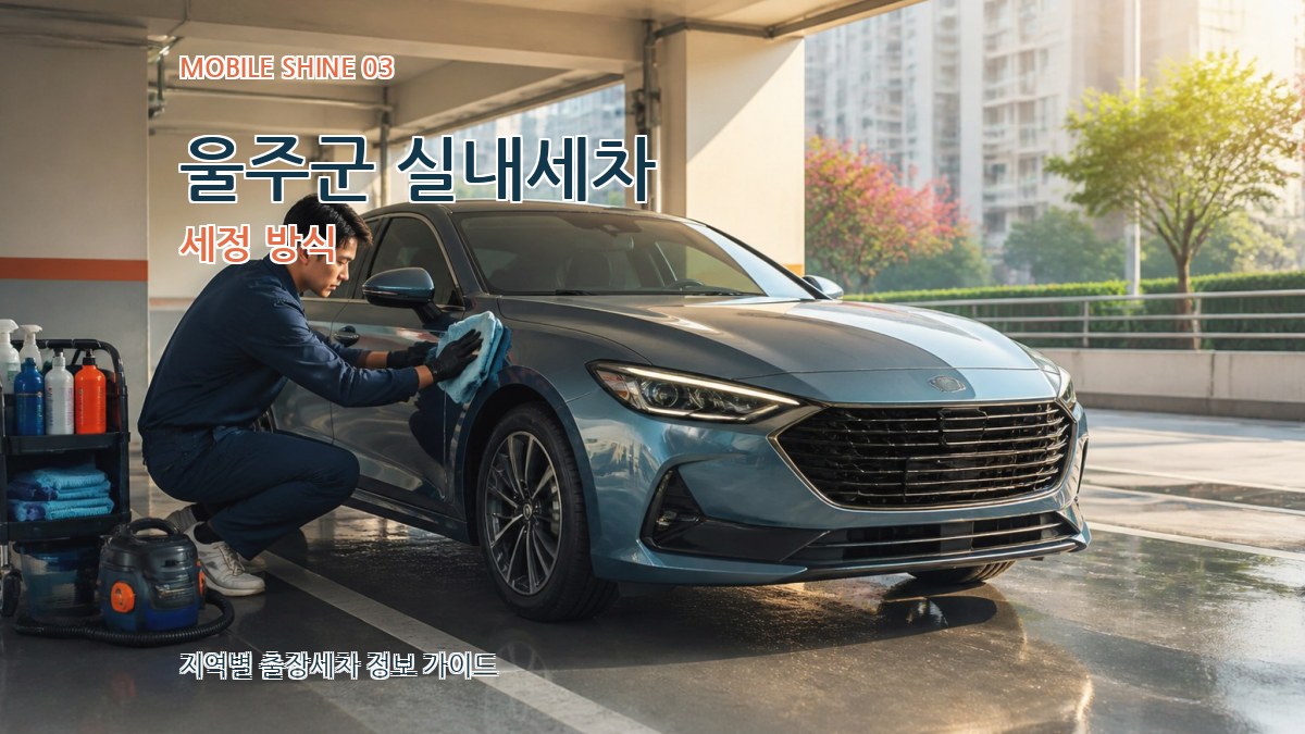 울주군 실내세차 세정 방식