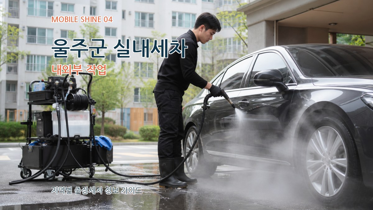 울주군 실내세차 내외부 작업