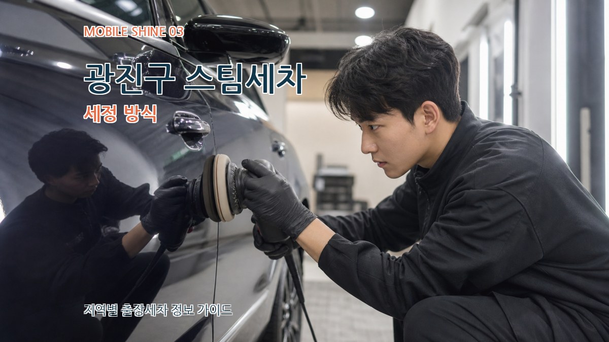 광진구 스팀세차 세정 방식