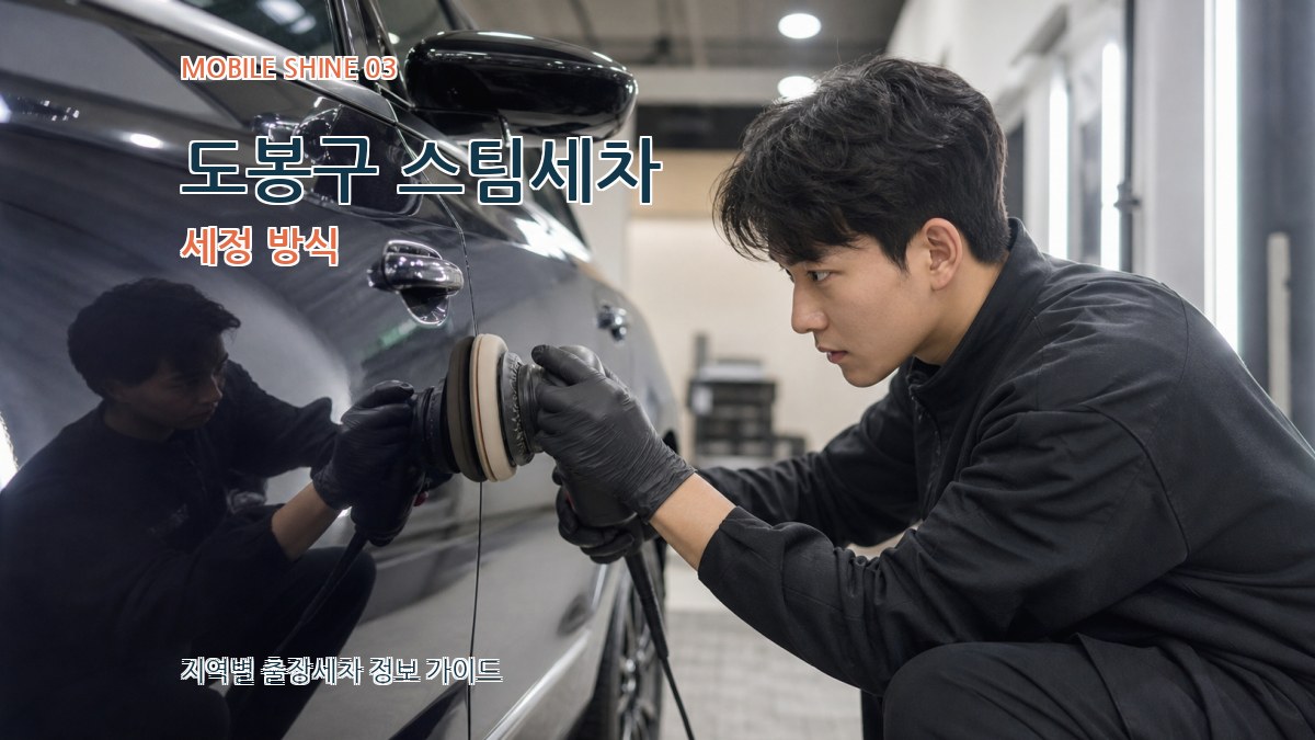 도봉구 스팀세차 세정 방식