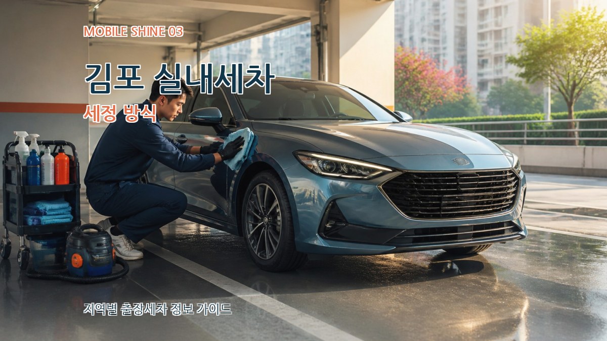 김포 실내세차 세정 방식