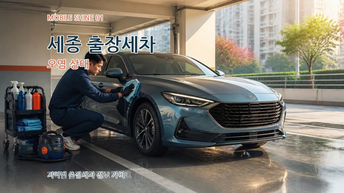 세종 출장세차