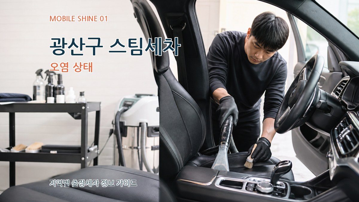 광산구 스팀세차